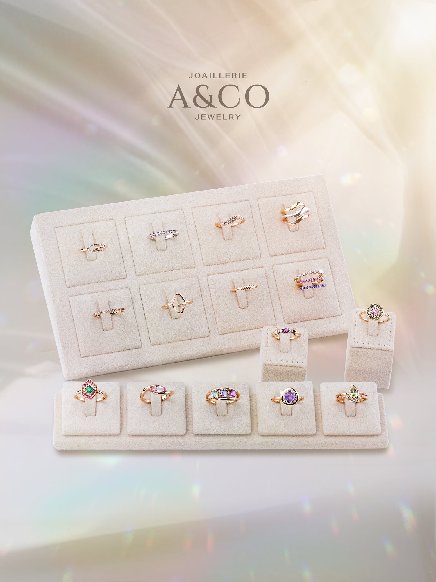 Histoire de la collection